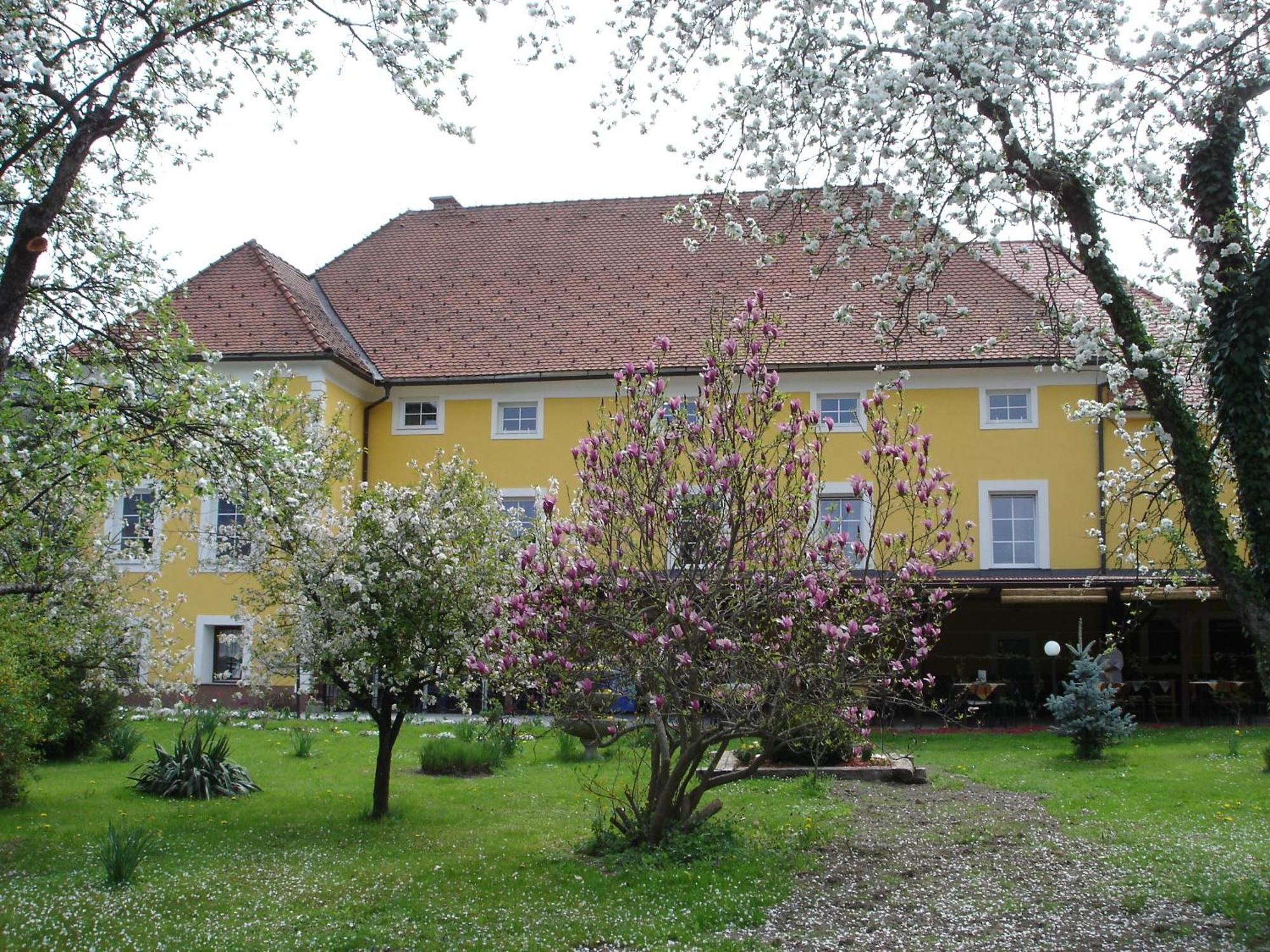 Guest House Cater Laško Eksteriør billede